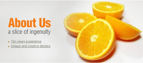 Silicon Valley Web Designer