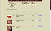 Bay Area Web Design Examples
