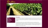 Bay Area Web Design Examples