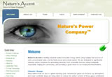 Bay Area Web Design