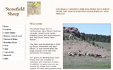 Bay Area Web Design Examples