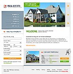 Real Estate Web Design, Real Estate Web site Designer