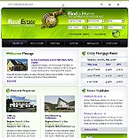 Real Estate Web Design, Real Estate Web site Designer