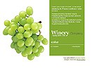 Winery web design, Winery website designer