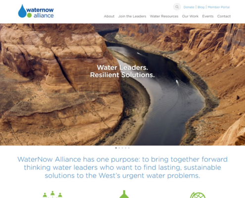WaterNow - Web Design